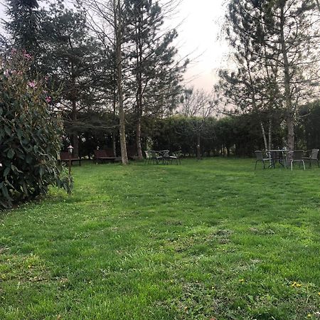 Argeselu Garden Villa - Entire Floor Apartment, Exclusive Garden Access Maracineni Exterior photo