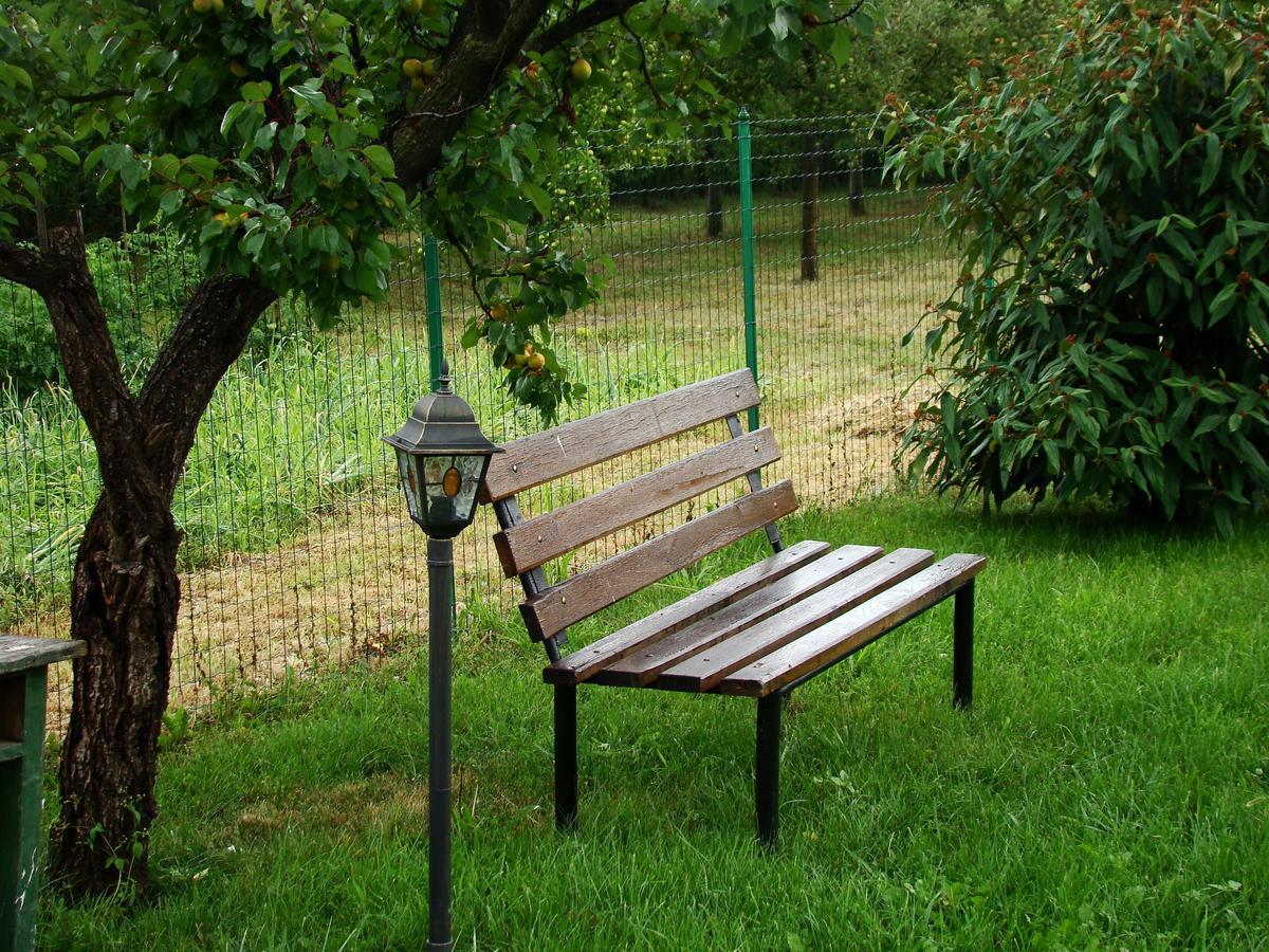 Argeselu Garden Villa - Entire Floor Apartment, Exclusive Garden Access Maracineni Room photo
