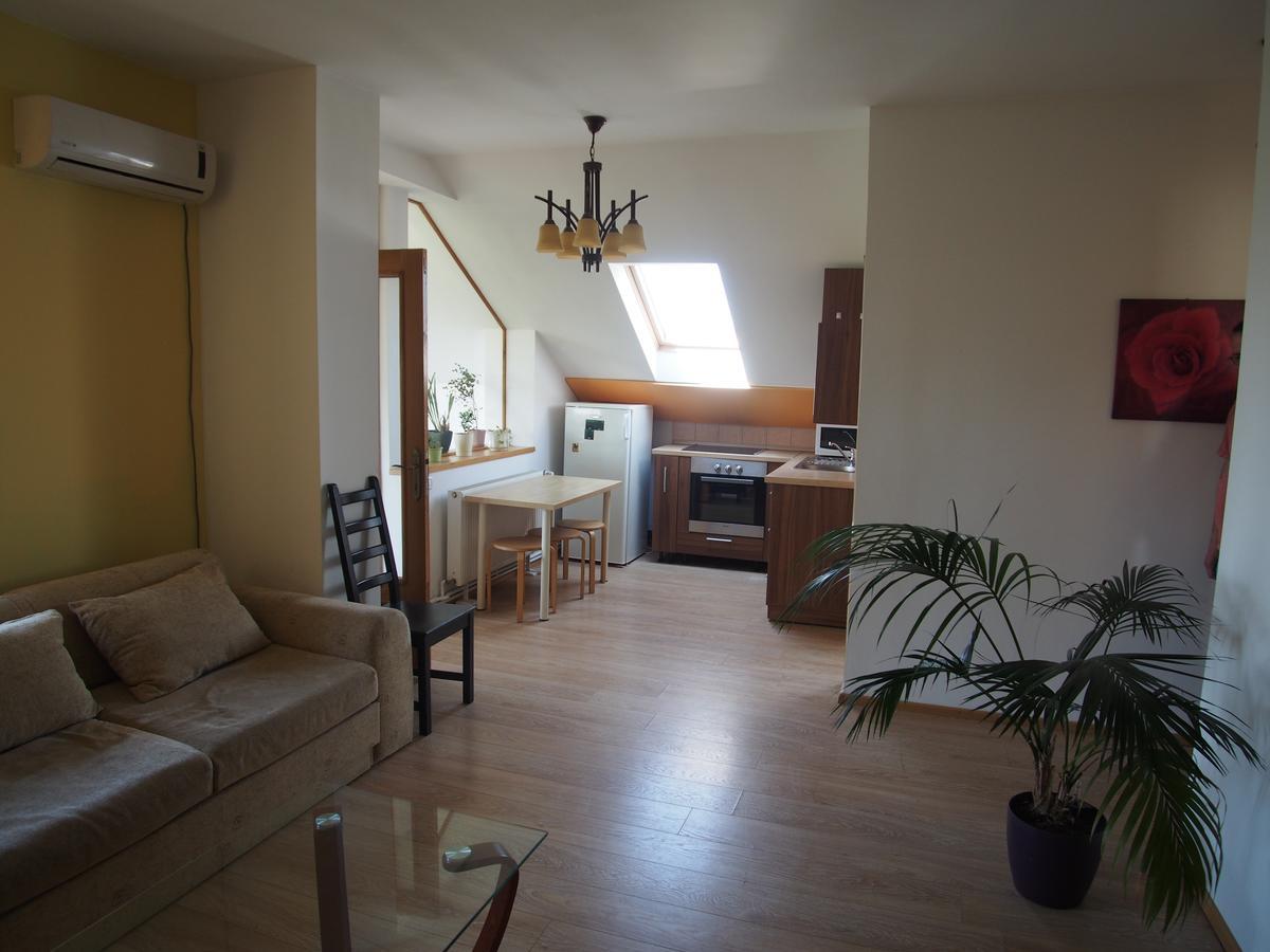 Argeselu Garden Villa - Entire Floor Apartment, Exclusive Garden Access Maracineni Room photo