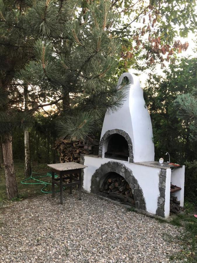 Argeselu Garden Villa - Entire Floor Apartment, Exclusive Garden Access Maracineni Exterior photo