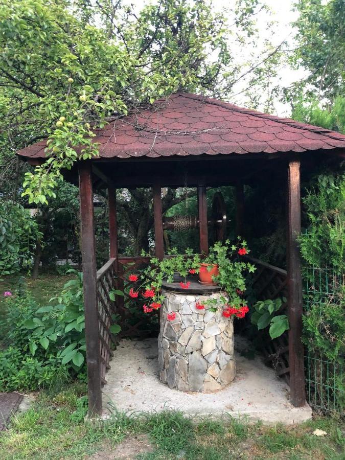 Argeselu Garden Villa - Entire Floor Apartment, Exclusive Garden Access Maracineni Exterior photo