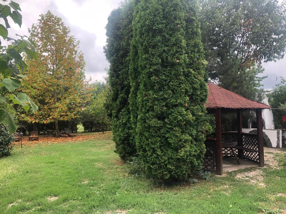 Argeselu Garden Villa - Entire Floor Apartment, Exclusive Garden Access Maracineni Exterior photo