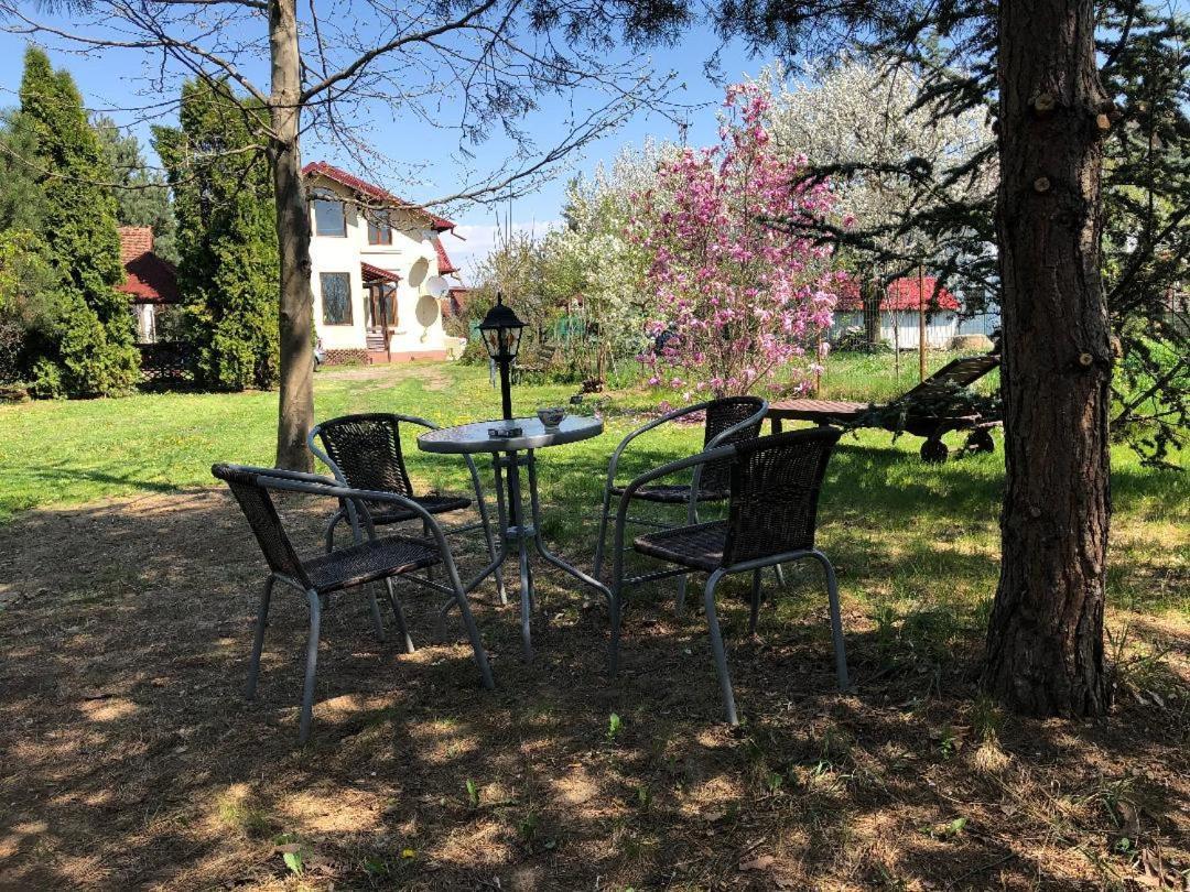 Argeselu Garden Villa - Entire Floor Apartment, Exclusive Garden Access Maracineni Exterior photo