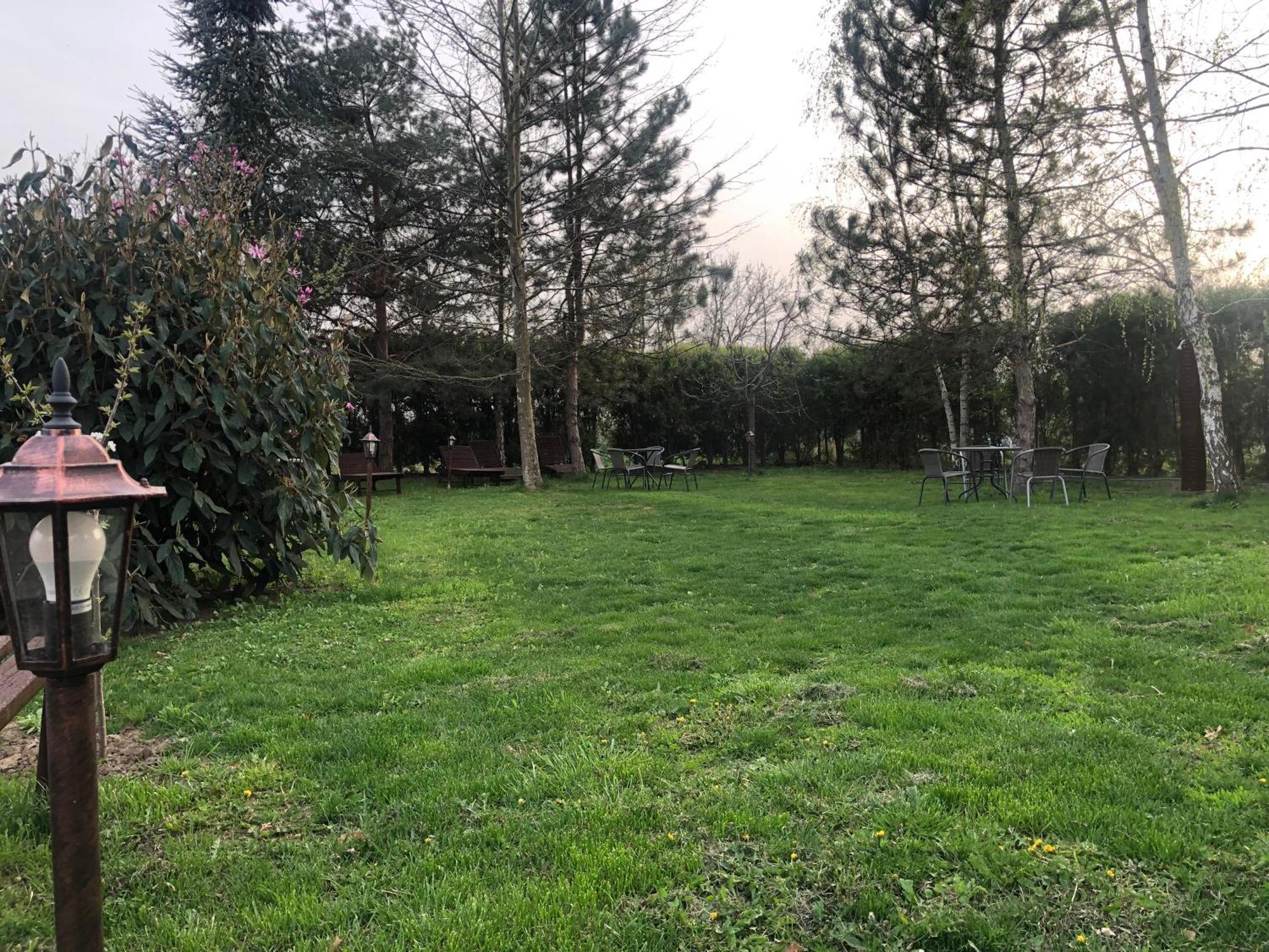 Argeselu Garden Villa - Entire Floor Apartment, Exclusive Garden Access Maracineni Exterior photo