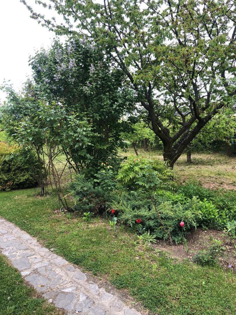 Argeselu Garden Villa - Entire Floor Apartment, Exclusive Garden Access Maracineni Exterior photo