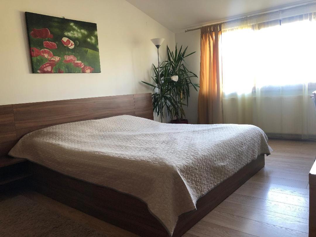 Argeselu Garden Villa - Entire Floor Apartment, Exclusive Garden Access Maracineni Exterior photo