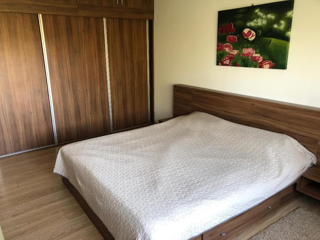 Argeselu Garden Villa - Entire Floor Apartment, Exclusive Garden Access Maracineni Exterior photo
