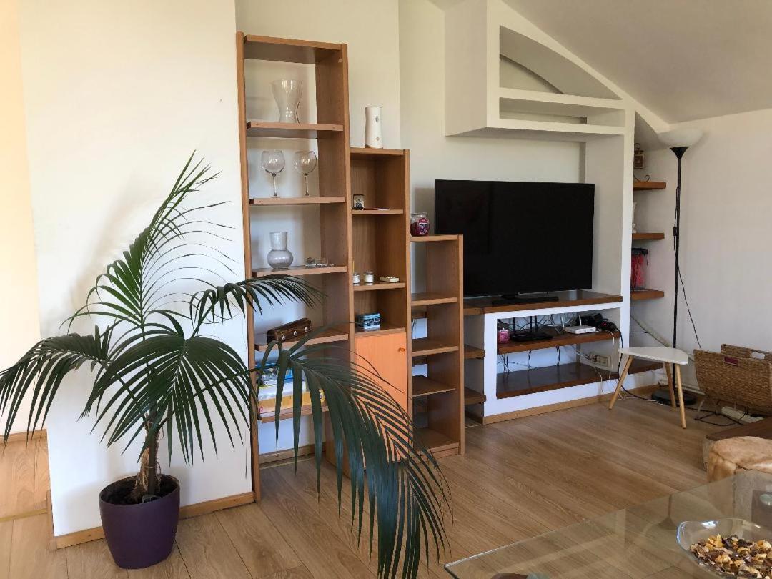 Argeselu Garden Villa - Entire Floor Apartment, Exclusive Garden Access Maracineni Exterior photo